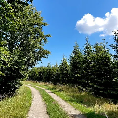 Kirsebaerkroen - The Between Præstø