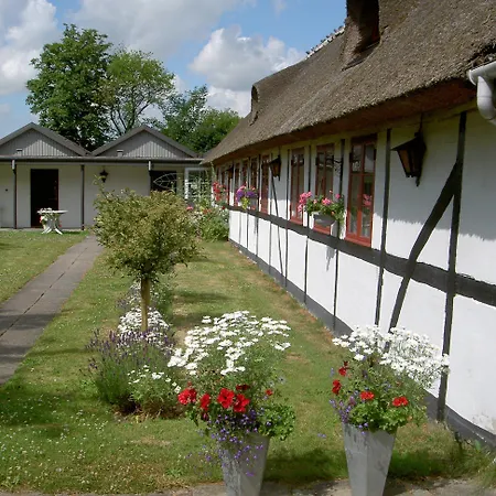 Kirsebaerkroen - The Between Præstø