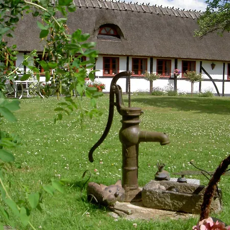 Kirsebaerkroen - The Between Penzion 3*