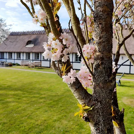 Gæstehus Kirsebaerkroen - The Between 3*