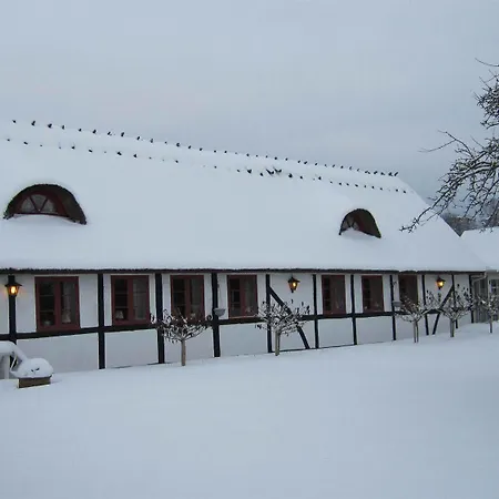 Kirsebaerkroen - The Between Guest house 3*
