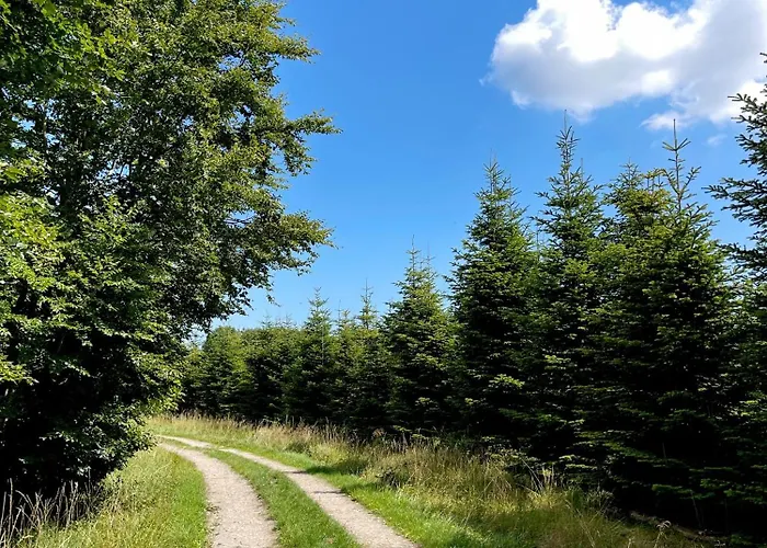 Kirsebaerkroen - The Between Præstø