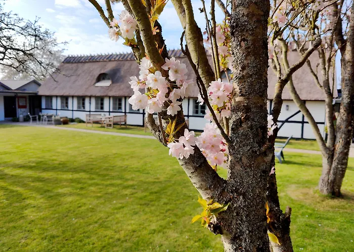 Pensjonat Kirsebaerkroen - The Between 3*